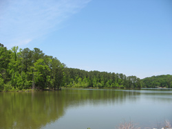 Explore the Beauty of Upper Tanyard Creek Swimming Beach: A Comprehensive Guide