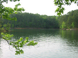 A view of Lake Allatoona from the picnic area