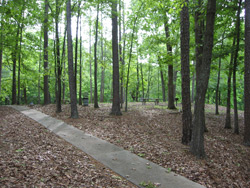 Lake Allatoona, Cooper Branch #2 picnic site