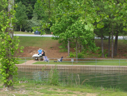 Lake Allatoona, Old Highway 41 #1 picnic area