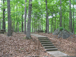 A view of the group picnic facility at Cooper Branch #2