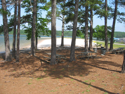 Lake Allatoona, Victoria Park picnic tables