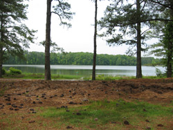 Looking out over Lake Acworth towards Cauble Park